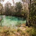 The Ultimate Guide to Choosing the Best Homosassa Springs Movers Company